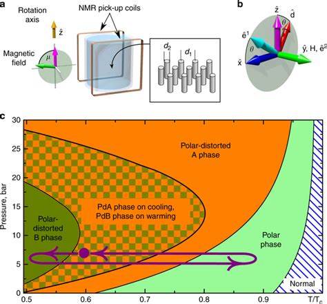 Half Quantum Vortices And Walls Bounded By Strings In The Polar Distorted Phases Of Topological