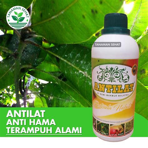 Jual Pupuk Pestisida Organik Cair Obat Anti Hama Pembasmi Kutu Putih