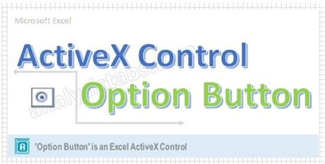 ActiveX OptionButton Control VBA Explained With Examples