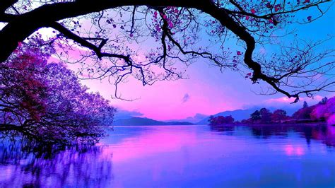 Beautiful Purple Sky And Trees With Reflection On Body Of Water Nature