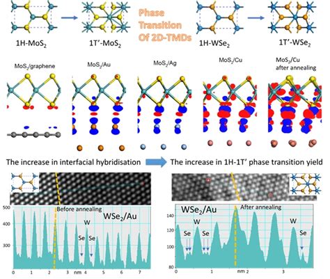 Phase Transition Dynamics In Two Dimensional 2d Materials