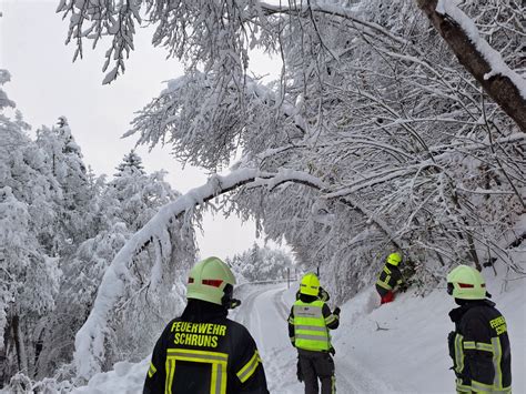 Mehrere Einsätze wegen starken Schneefall und eine Brandmeldeanlage hat