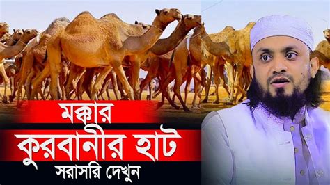 মক্কার কুরবানীর হাট থেকে সরাসরি ০১ আব্দুল হাই মুহাম্মাদ সাইফুল্লাহ