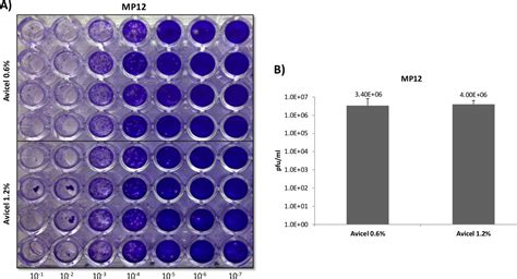 Viral Concentration Determination Through Plaque Assays Using