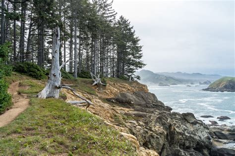 The 17 Best Hikes on the Oregon Coast: Complete Oregon Coast Hiking Guide