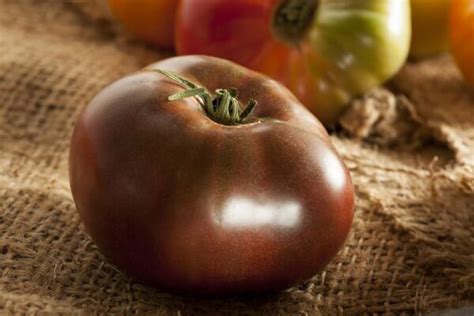 The Paul Robeson Tomato Minneopa Orchards