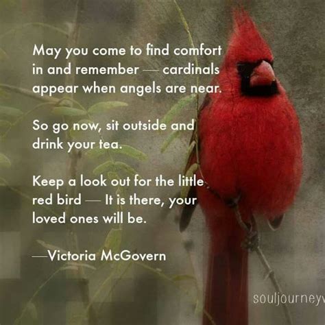 Pin By Judy Vlcek On Poems Cardinal Birds Meaning Cardinals