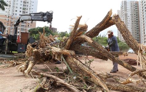 Prefeitura recupera estragos da chuva e já planeja reconstrução de