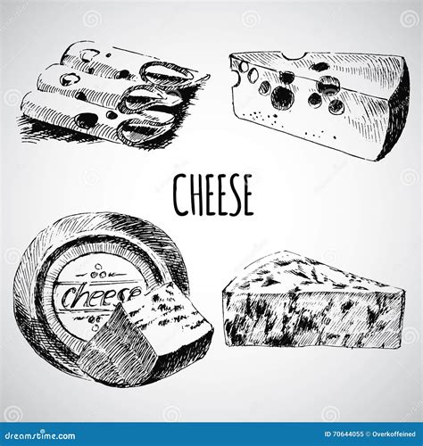 Vector Cheese Sketch Drawing Designer Template Farm Food Collection