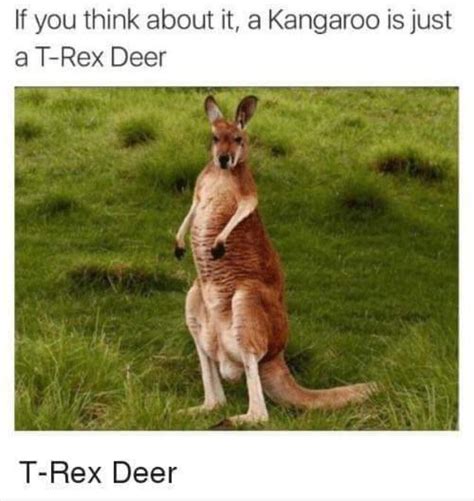 T Rex Deer Rproperanimalnames