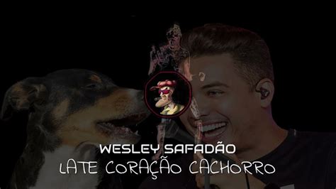 Late CoraÇÃo Cachorro Late CoraÇÃo Wesley SafadÃo Youtube