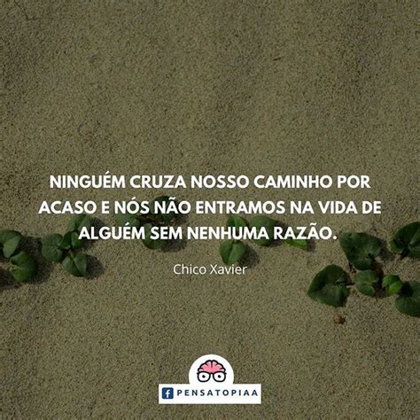 Ninguém cruza nosso caminho por acaso e nós não entramos na vida de