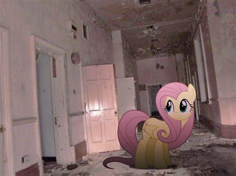 Mlp Fluttershy Icon Backrooms Foto Di Moda Foto