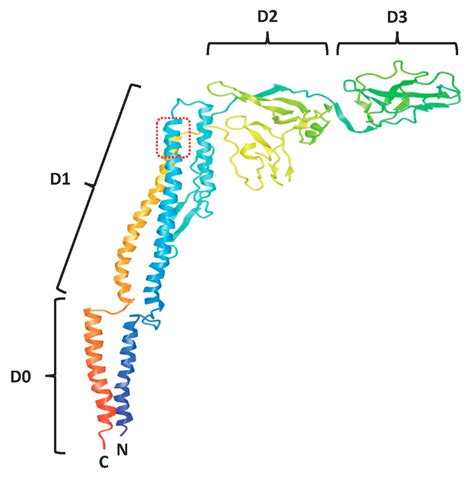 Viruses Free Full Text Dna Vaccine Encoded Flagellin Can Be Used As