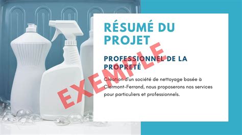 Exemple De Projet Dentreprise De Nettoyage Pdf Guide Complet Succursale