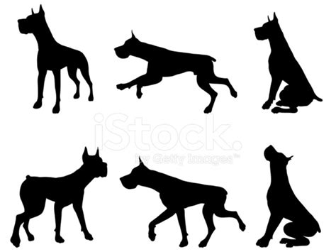 Great Dane Silhouette Collection Stock Vector - FreeImages.com