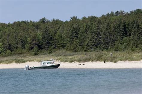 Endangered Piping Plovers Flourish Under Tribes Watch On Remote Lake