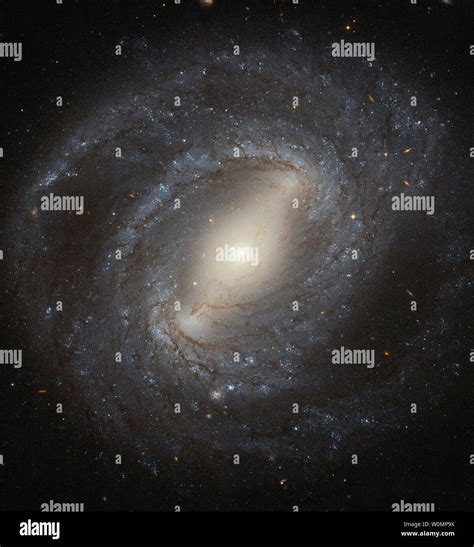 Barred spiral galaxy hi-res stock photography and images - Alamy