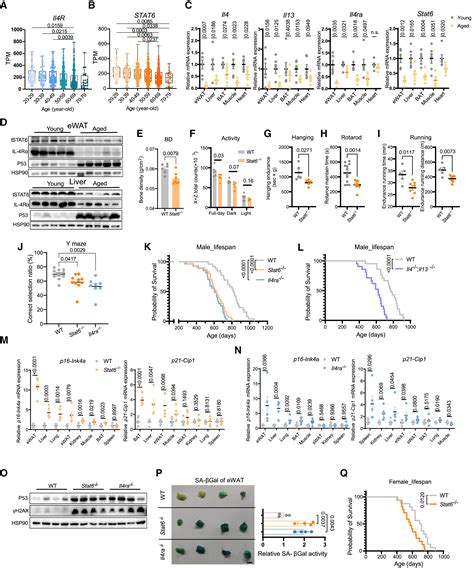 Type 2 Cytokine Signaling In Macrophages Protects From Cellular