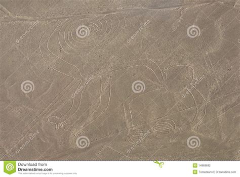 Monkey, Nazca Lines Stock Photo | CartoonDealer.com #14868892