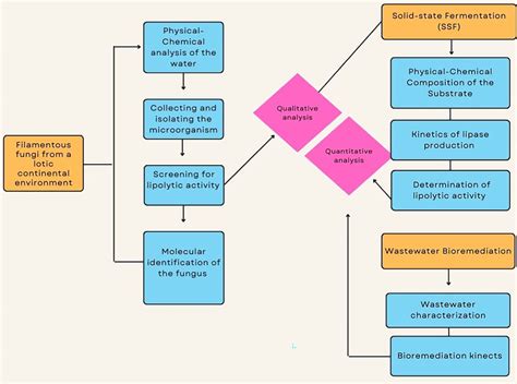 Flowchart Of The Analysis Steps From Sample Collection To Qualitative Download Scientific