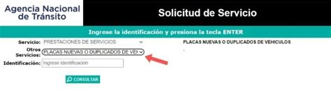 Duplicado de placas vehiculares por pérdida o robo ANT 2025