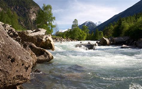 Wwf Österreich Startseite Wwf Österreich