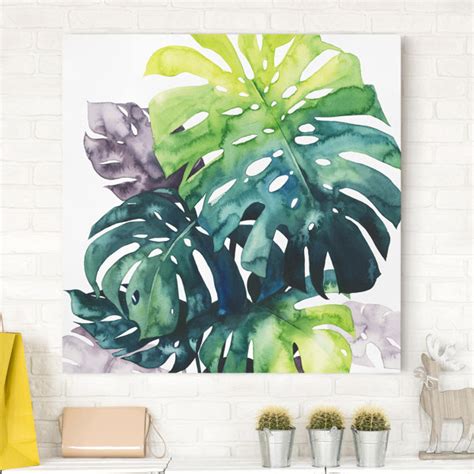 Sansibar Home Leinwandbild Exotisches Blattwerk Monstera Wayfair De