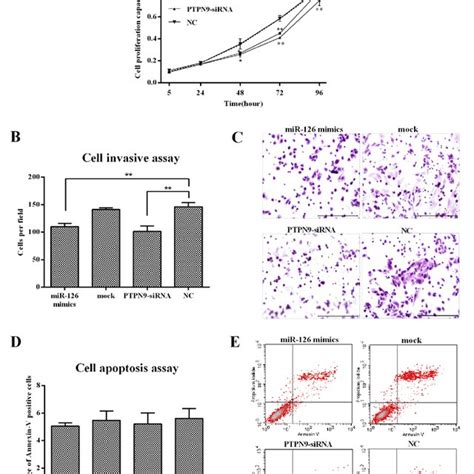 Knockdown Of PTPN9 Inhibited ESCC Cell Proliferation And Invasion But