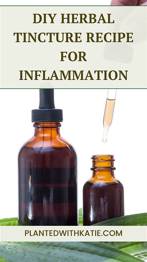 Simple Diy Herbal Tincture Recipe For Inflammation