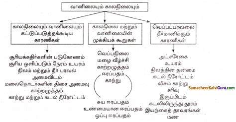 Samacheer Kalvi Th Social Science Guide Geography Chapter