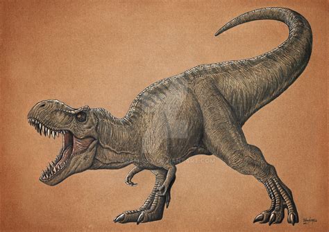 Tyrannosaurus Rex Roberta Full Scale By Aram Rex On Deviantart