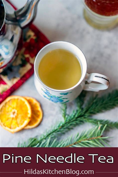 Pine Needle Tea Benefits Recipe Hilda S Kitchen Blog