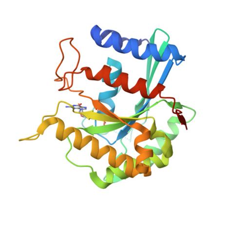 Rcsb Pdb Def Crystal Structure Of Toc From Arabidopsis Thaliana