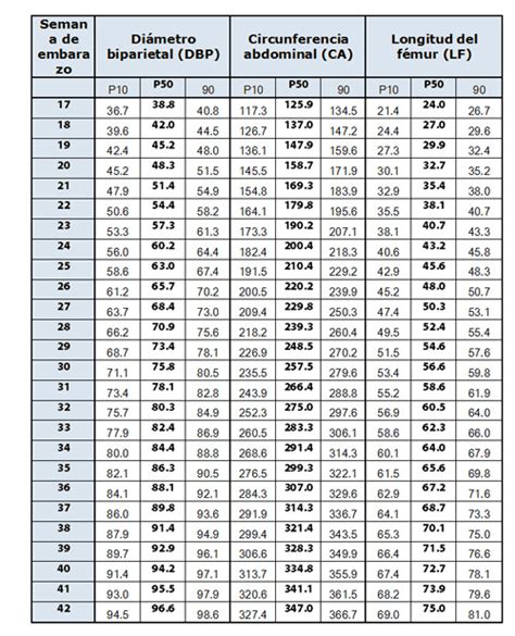 Ecografía Del Tercer Trimestre Tamaño Y Peso Fetales