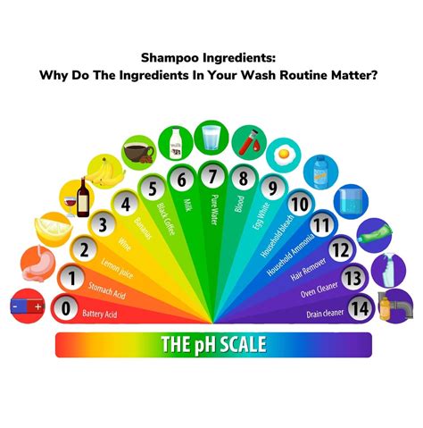 Shampoo Ingredients: Why Do The Ingredients In Your Wash Routine Matter? - The Hair Society