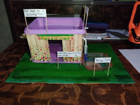 Science Working Models For Class 9 Biology