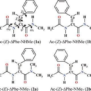 General Formula And The De Fi Nition Of The Selected Torsion Angles For