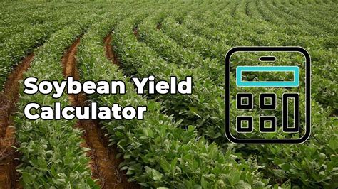 Soybean Yield Calculator Estimate Soybean Production