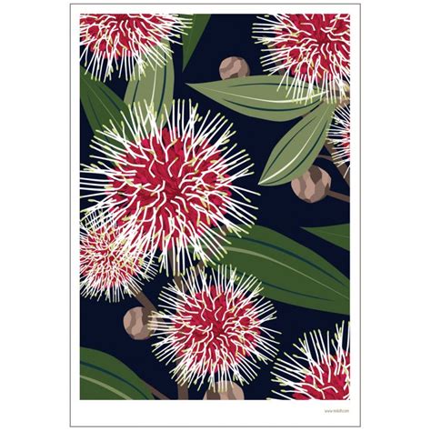 Australian Flora And Fauna Art Prints Mokoh Design Handmade