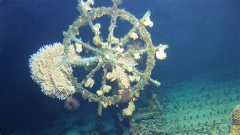 Mystery Solved Researchers Find Wwii Ship Off Hawaii Coast Abc News