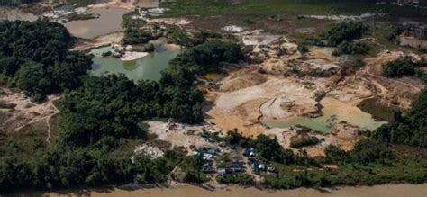 Relat Rio Aponta Que Garimpo Ilegal Em Territ Rio Yanomami Cresceu