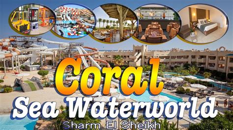 Hotel Coral Sea Waterworld 5 Aqua Park Sharm El Sheikh Egypt YouTube