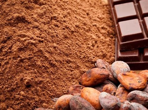 Cocoa Powder Price Philippines Hicaps Mktg Corp