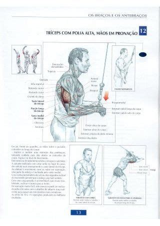 Guia Dos Movimentos De Muscula O Mejores Ejercicios Para Biceps