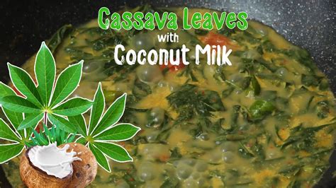 Cooking Cassava Leaves Recipe With Coconut Milk Cassava Leaf Coconut Milk Youtube