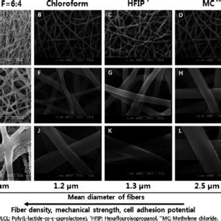 Cell Adhesion Test For Electrospun Plcl Sheets Coated With Various