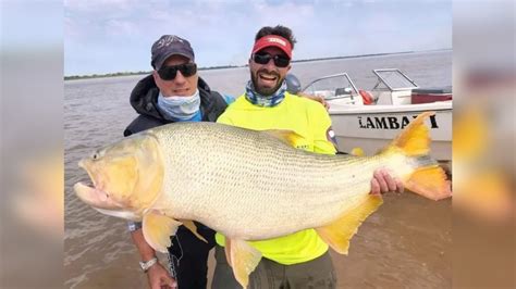 Corrientes Pescaron Un Dorado De 25 Kilos En La Localidad De Esquina