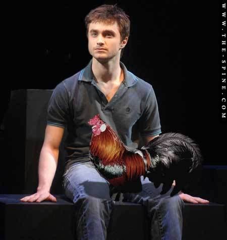 Equus Pictures - Daniel Radcliffe Photo (85028) - Fanpop