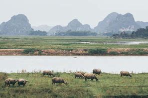 Circuit Vietnam Partir Pas Cher Circuits